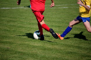 九游登录入口-中超球员比赛热度曲线与表现匹配模型，中超热身赛